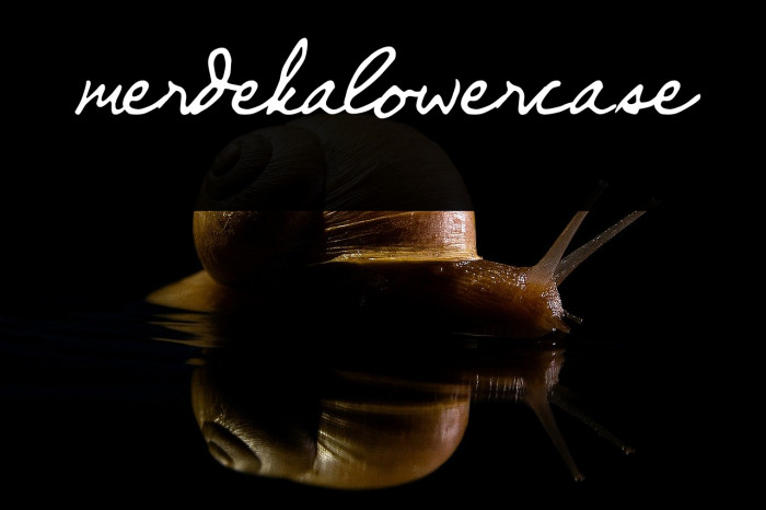 merdekalowercase Schriftart examples