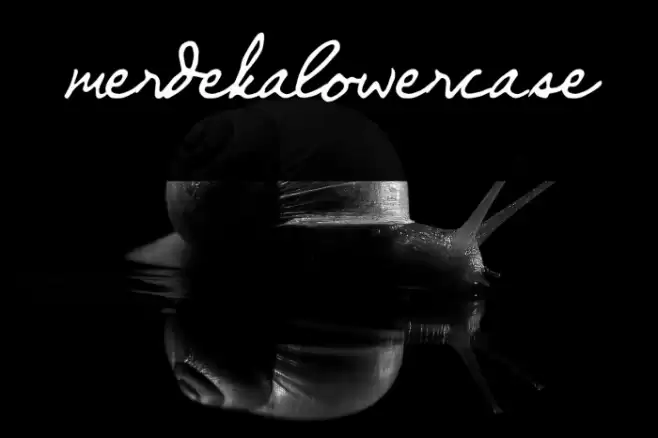 merdekalowercase Font examples