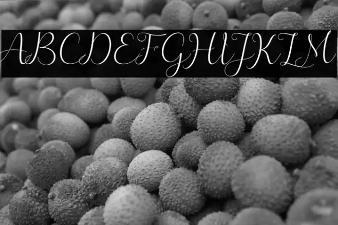 merlin Font examples