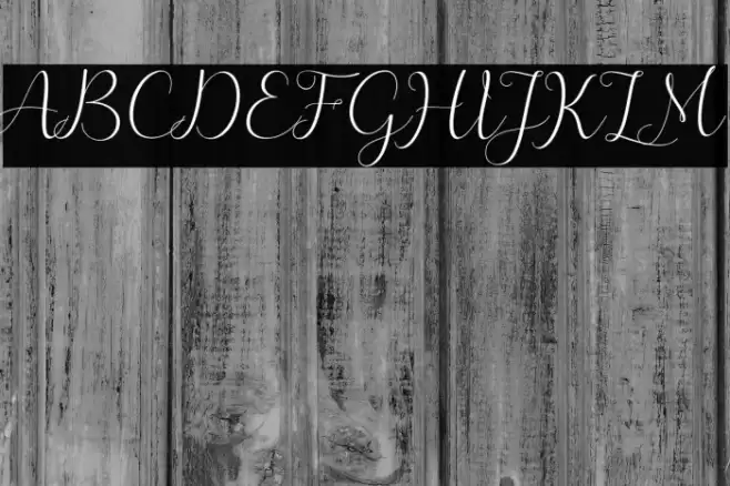 merlin Font examples