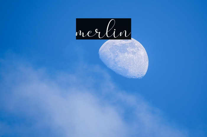merlin Example 2
