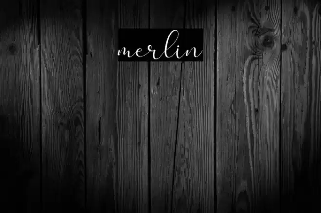 merlin Font examples