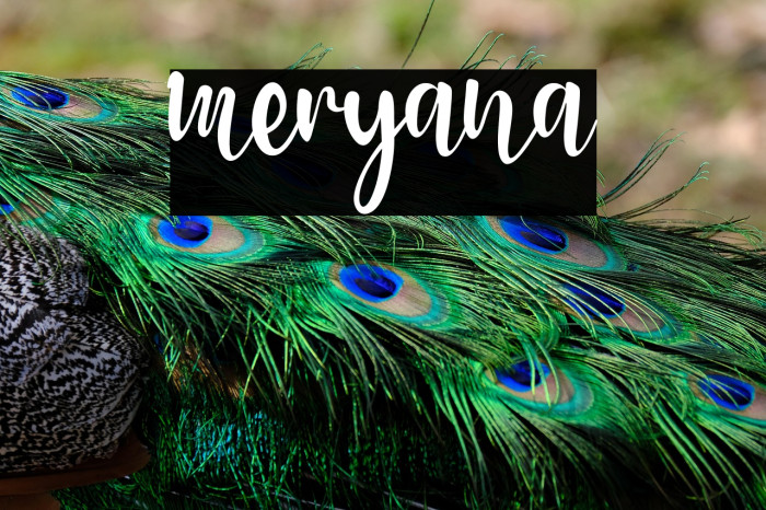 meryana Example 2