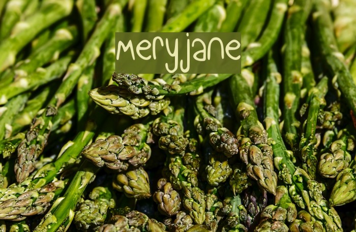 meryjane Font examples