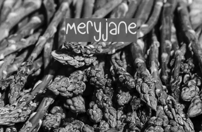 meryjane Example 3