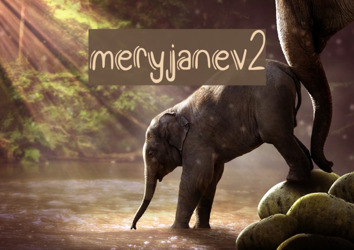 meryjane_v2 Font examples