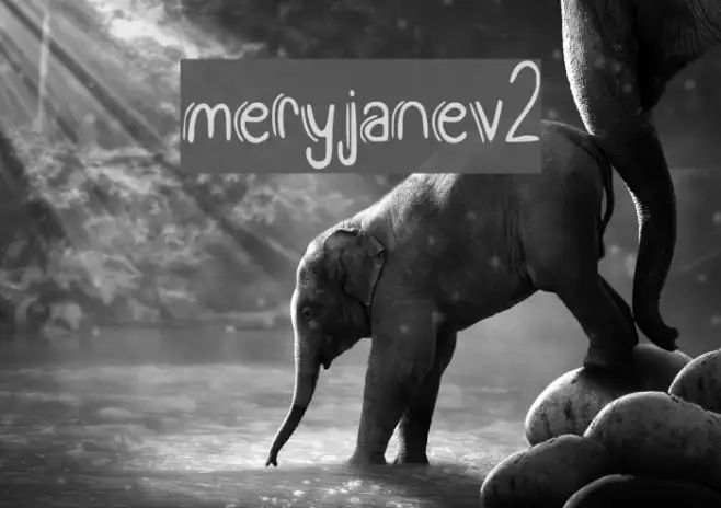 meryjane_v2 Example 1