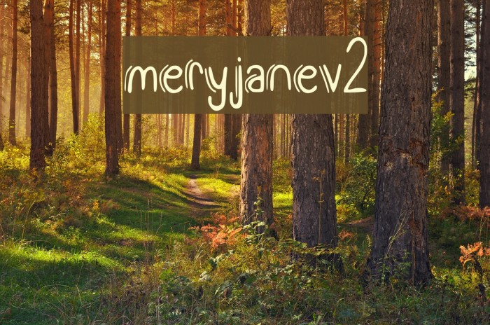 meryjane_v2 Font examples