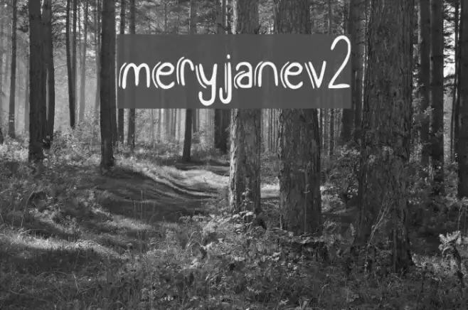meryjane_v2 Example 3