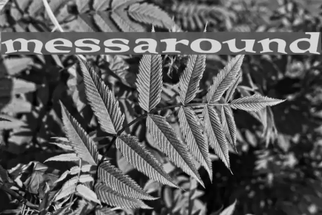 messaround Font examples