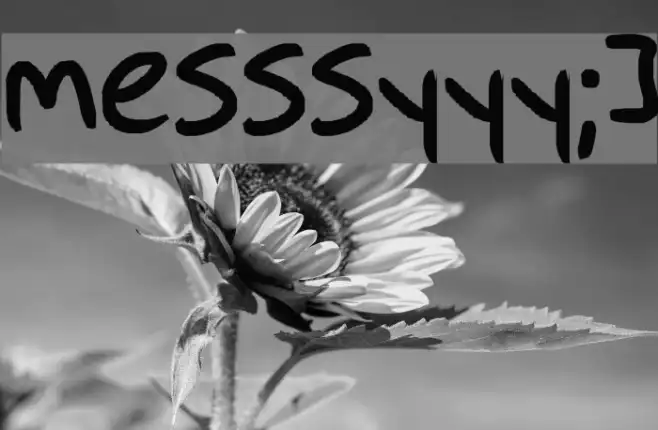messsyyy;] Example 3
