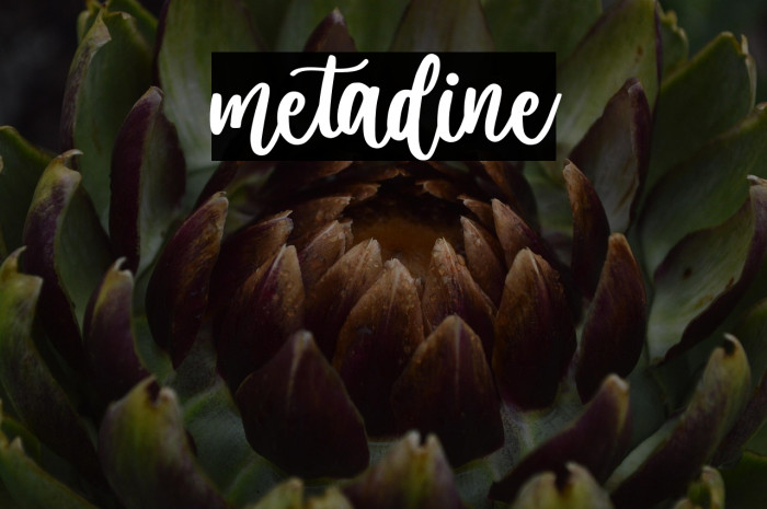 metadine Example 2