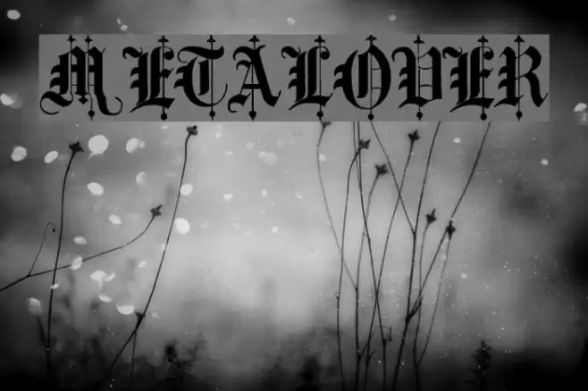metalover Font examples