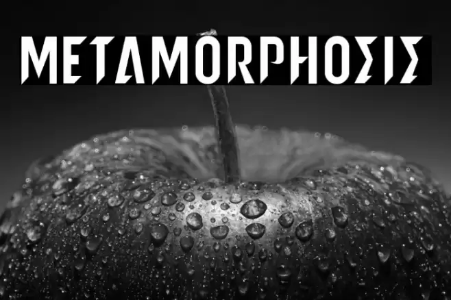 metamorphosis Caratteri examples