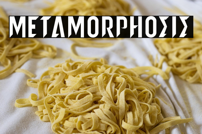 metamorphosis Example 2