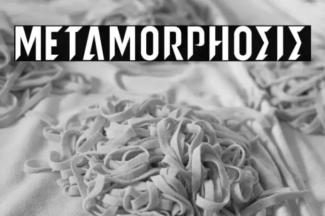 metamorphosis Caratteri examples