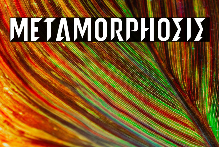 metamorphosis Example 3