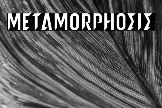 metamorphosis Caratteri examples