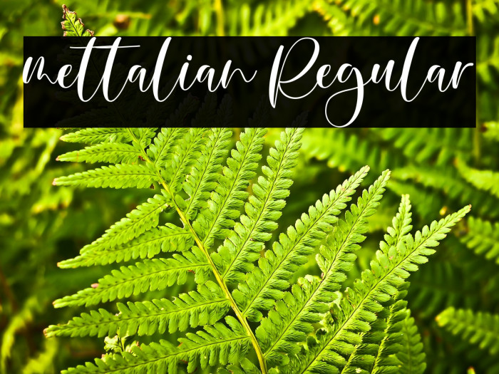 mettalian Regular Example 1