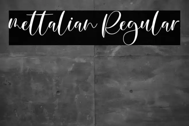 mettalian Regular Font examples