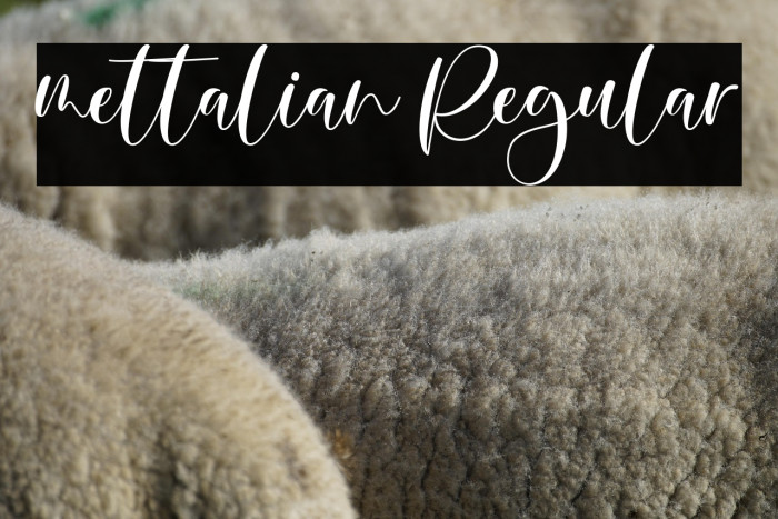 mettalian Regular Example 3