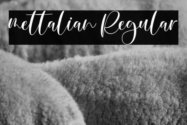 mettalian Regular Font examples
