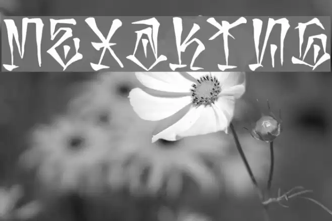 mexaking Font examples