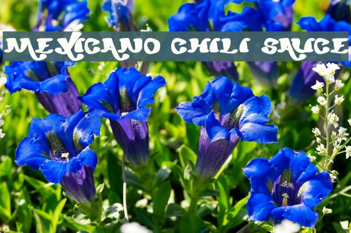 mexicano chili sauce Example 1