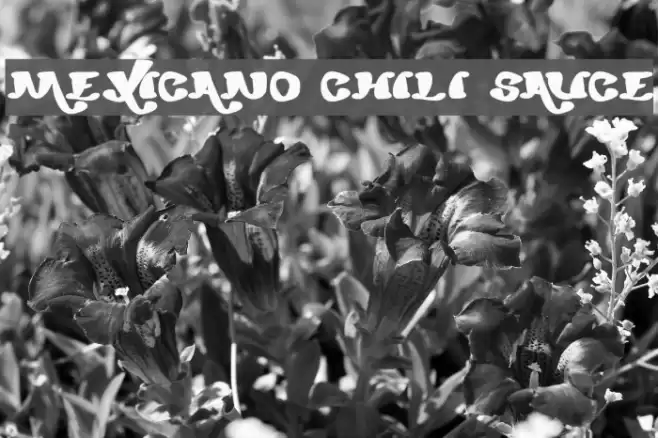 mexicano chili sauce Font examples