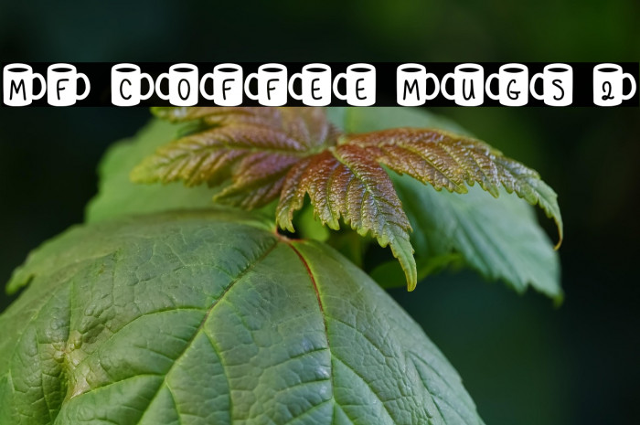 MF Coffee Mugs 2 Example 1