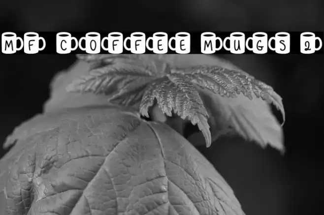 MF Coffee Mugs 2 Polices examples