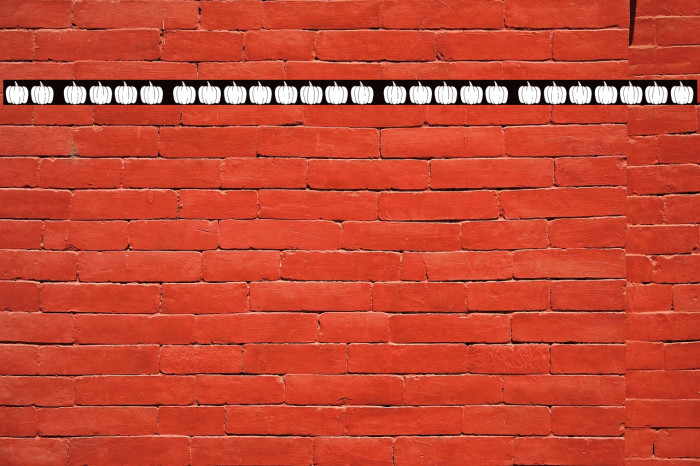 MF Fall Pumpkins Color Regular Example 2