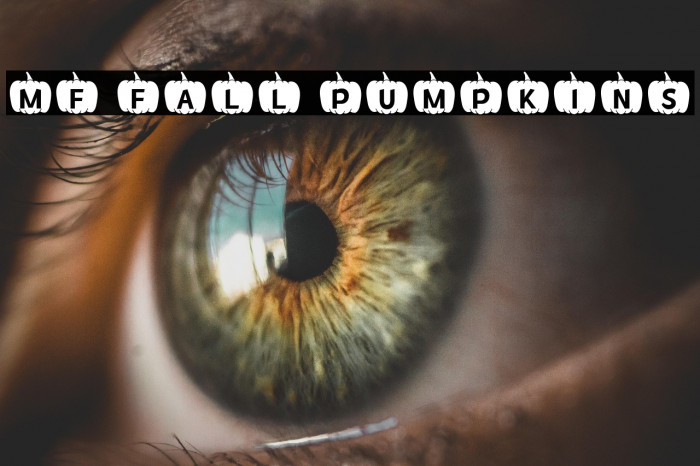 MF Fall Pumpkins Example 3