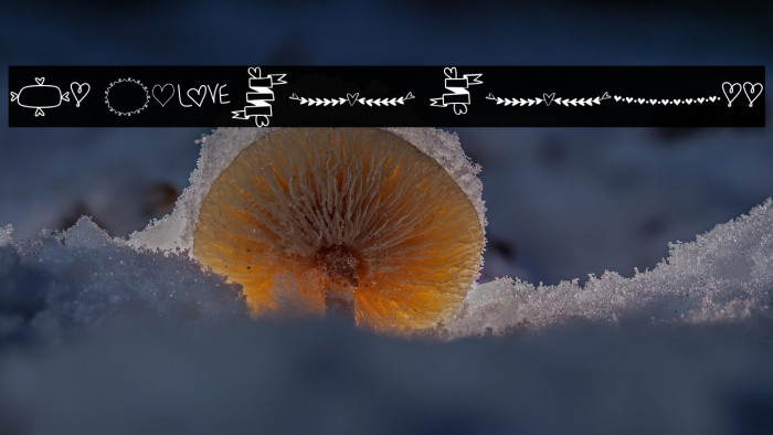 MF Heart Stuff Example 1