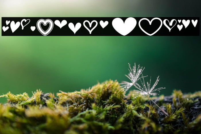 MF Love Dings 2 Regular Example 1