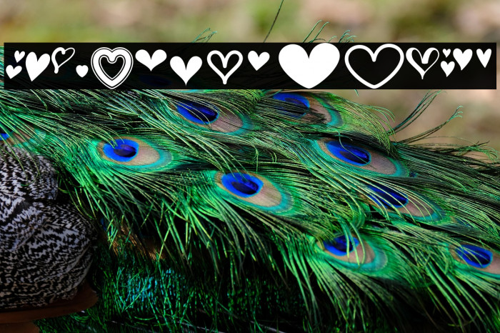 MF Love Dings 2 Regular Example 3