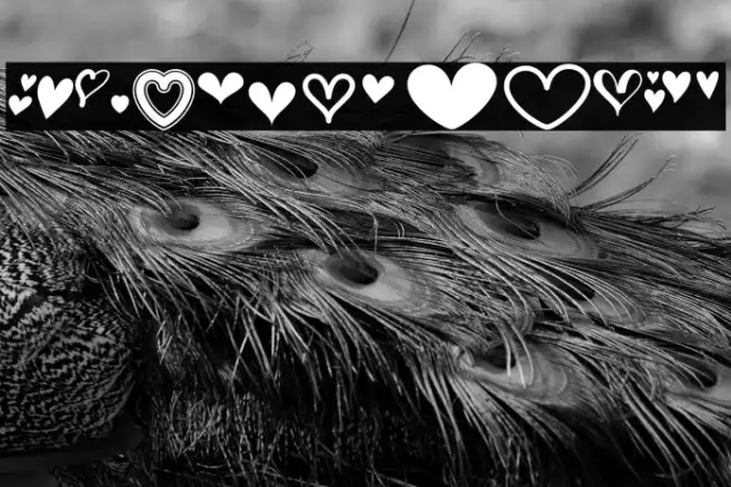 MF Love Dings 2 Regular Example 3