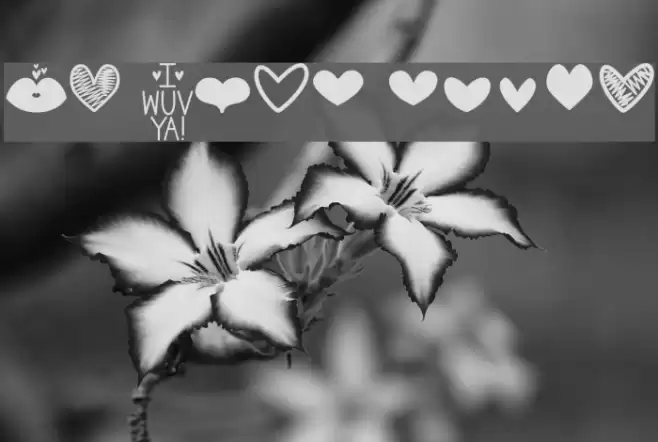 MF Love Dings Font examples