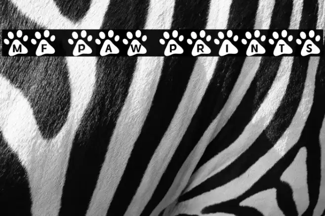 MF Paw Prints Example 1