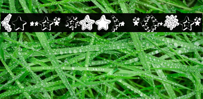 MF Star Dings 2 Regular Font examples