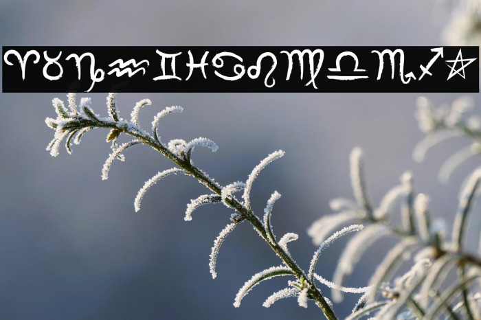 MF Zodiac Dings Example 1