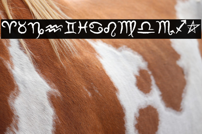 MF Zodiac Dings Example 2