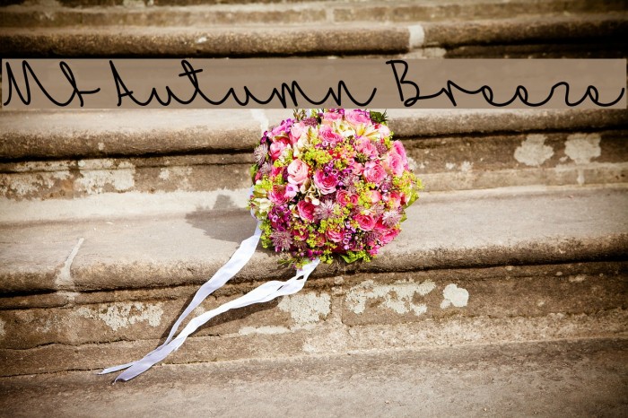 Mf Autumn Breeze Example 3