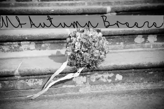 Mf Autumn Breeze Font examples