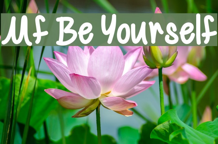 Mf Be Yourself Font examples