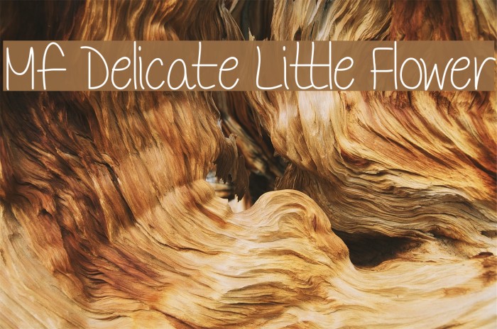 Mf Delicate Little Flower Font examples