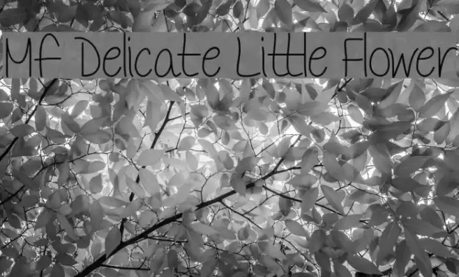 Mf Delicate Little Flower Font examples
