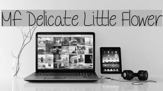 Mf Delicate Little Flower Font examples