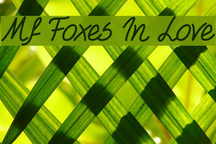 Mf Foxes In Love Font examples