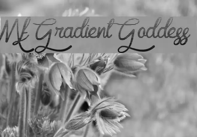 Mf Gradient Goddess Font examples